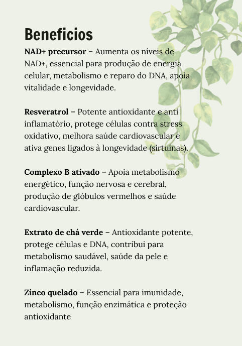 Men Vital +