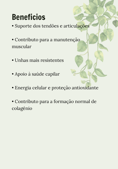 Collagen Power Men